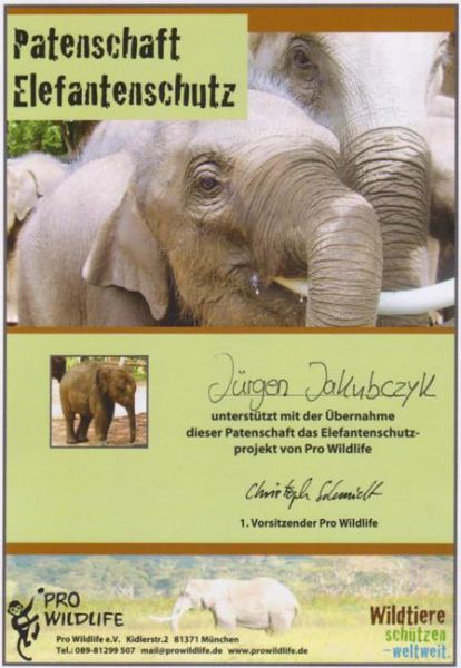 Pro Wildlife Elefantenpatenschaft